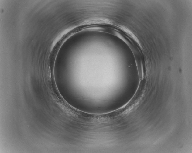 X0000071960973200607071448