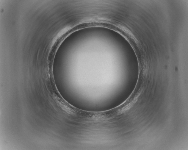 X0000071960974200607071448