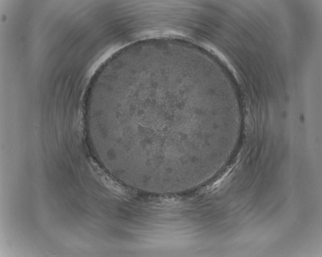 X0000071960975200607071448