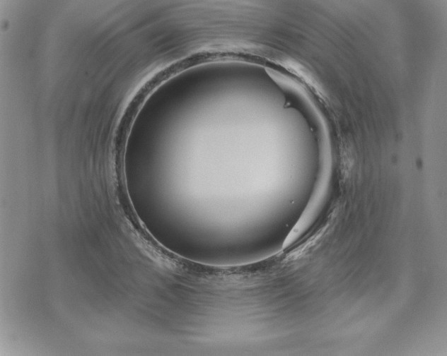 X0000071960976200607071448