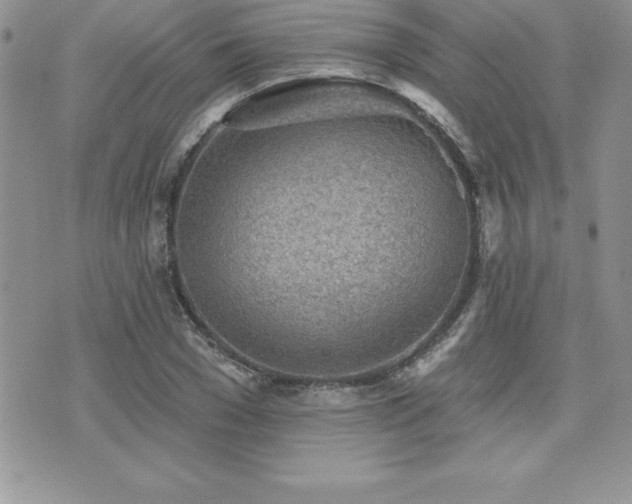 X0000071960977200607071448