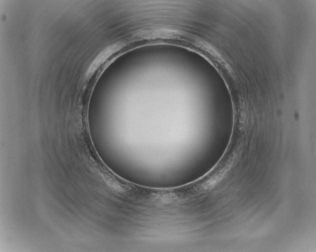 X0000071960978200607071448