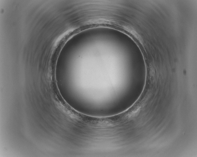 X0000071960979200607071448