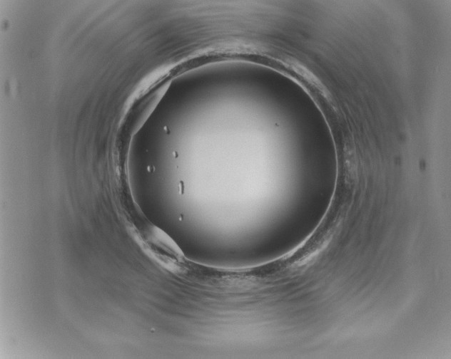 X0000071960981200607071448