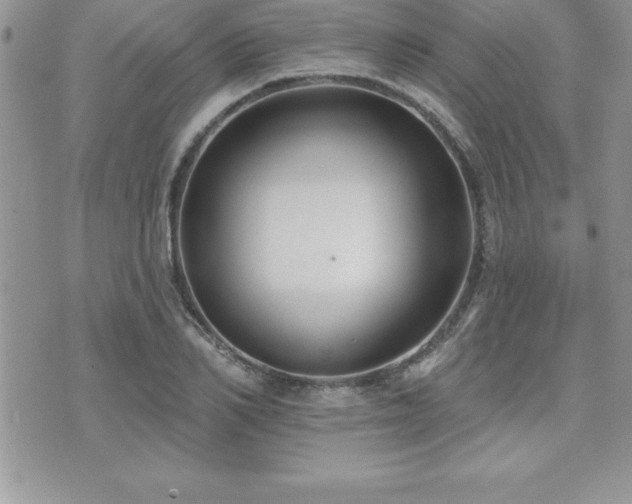 X0000071960982200607071448