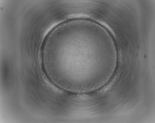 X0000071960983200607071448