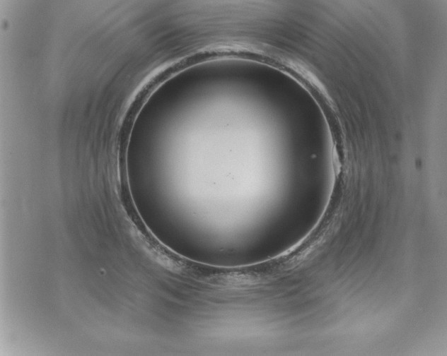 X0000071960984200607071448