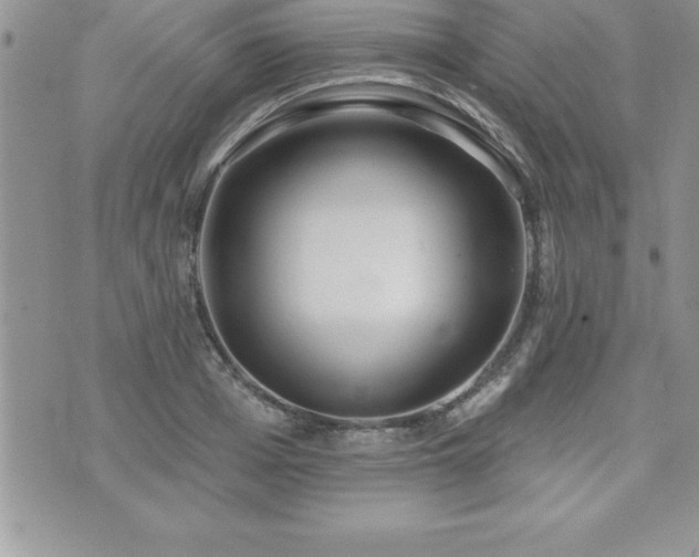 X0000071960985200607071448