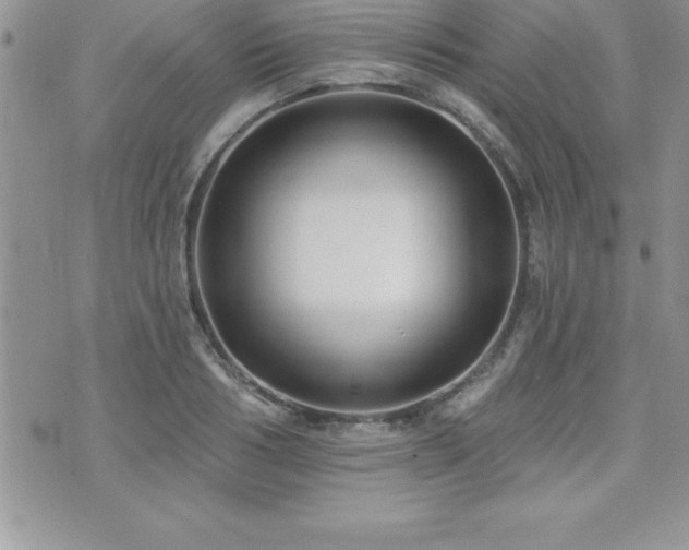 X0000071960986200607071448