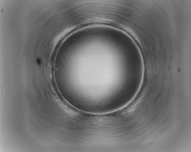 X0000071960987200607071448