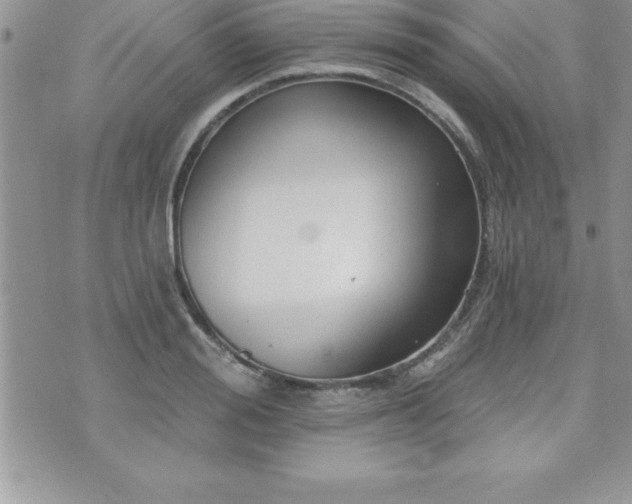 X0000071960988200607071448