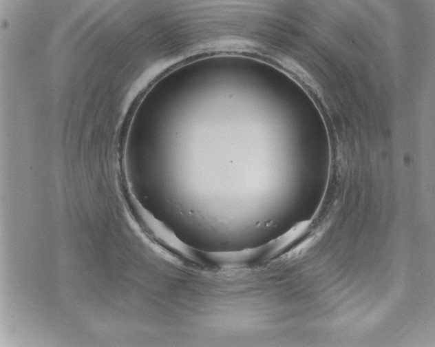 X0000071960989200607071448