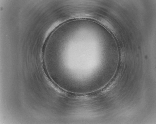 X0000071960990200607071448