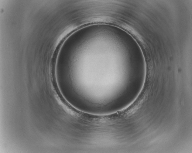 X0000071960991200607071448