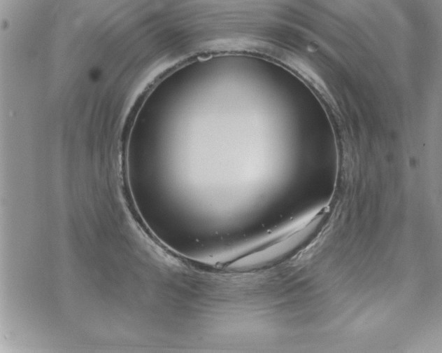 X0000071960992200607071448