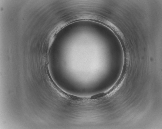 X0000071960993200607071448