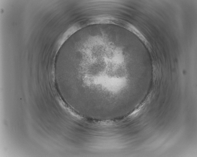 X0000071960994200607071448