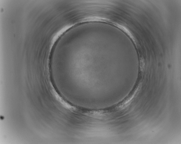 X0000071960995200607071448