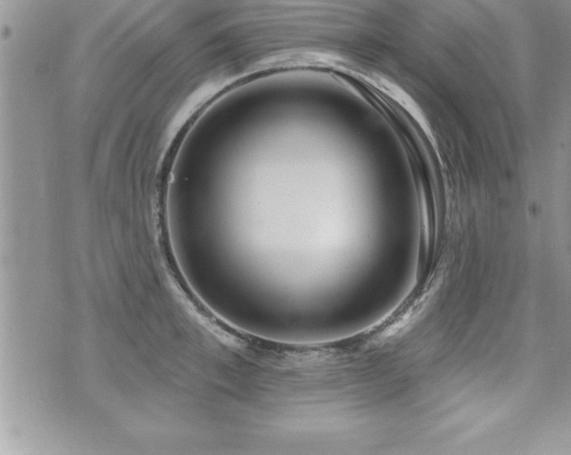 X0000071960997200607071448