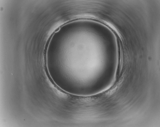 X0000071960999200607071448