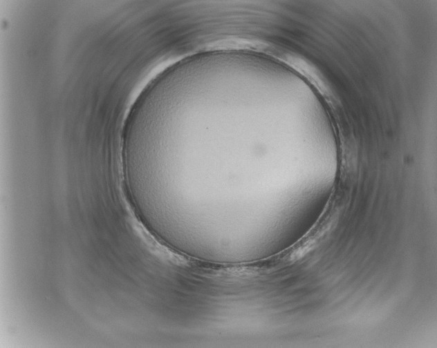 X0000071961000200607071448