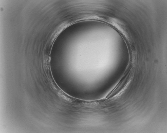 X0000071961001200607071448