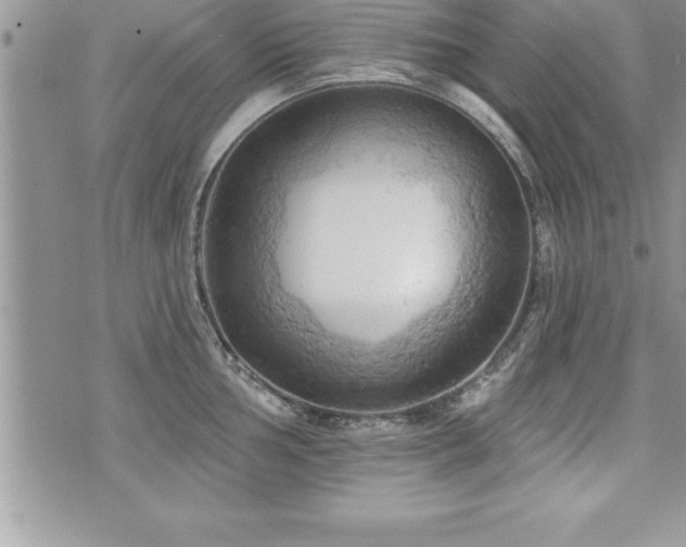 X0000071961002200607071448