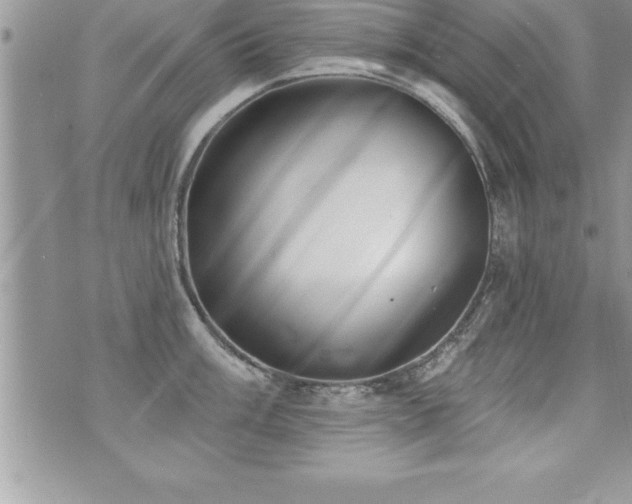 X0000071961003200607071448