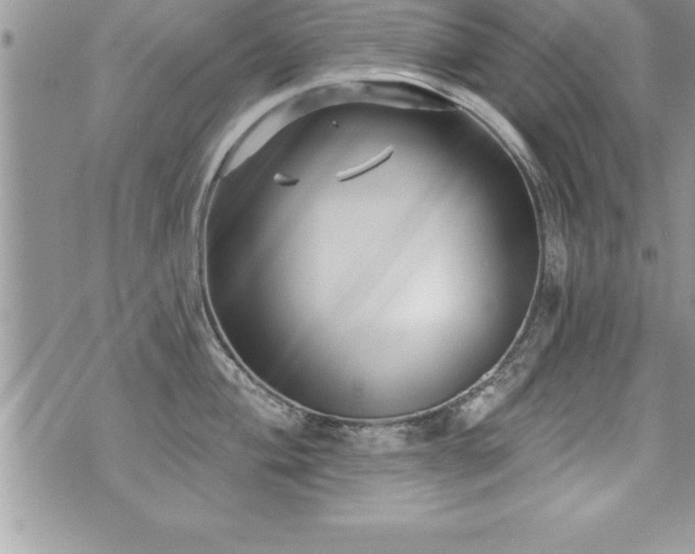 X0000071961004200607071448