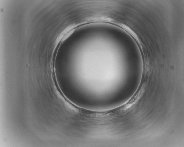 X0000071961005200607071448