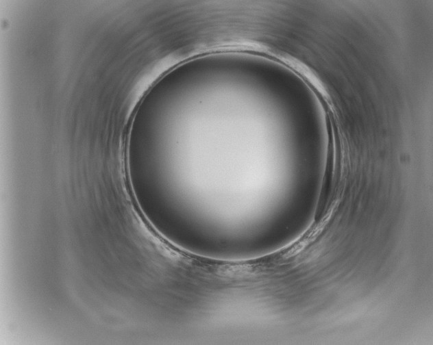 X0000071961006200607071448