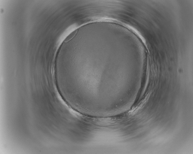 X0000071961007200607071448