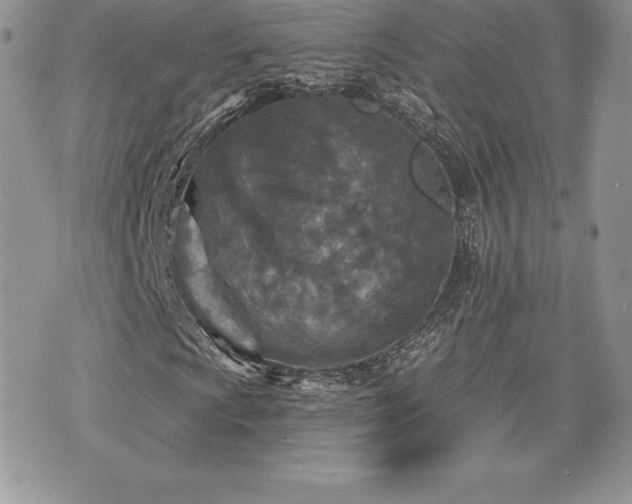 X0000071961009200607071447