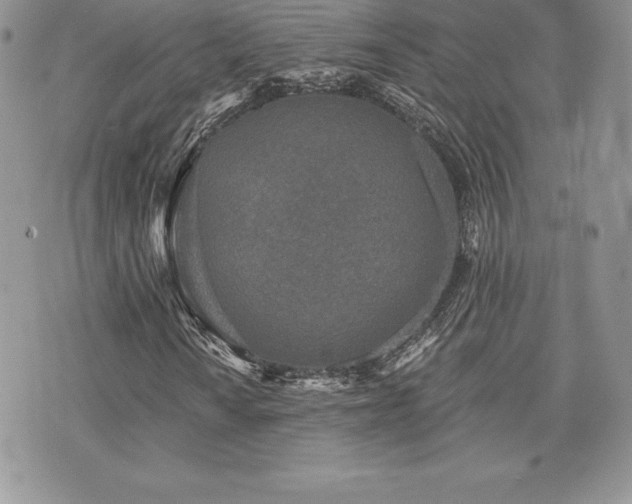 X0000071961010200607071447