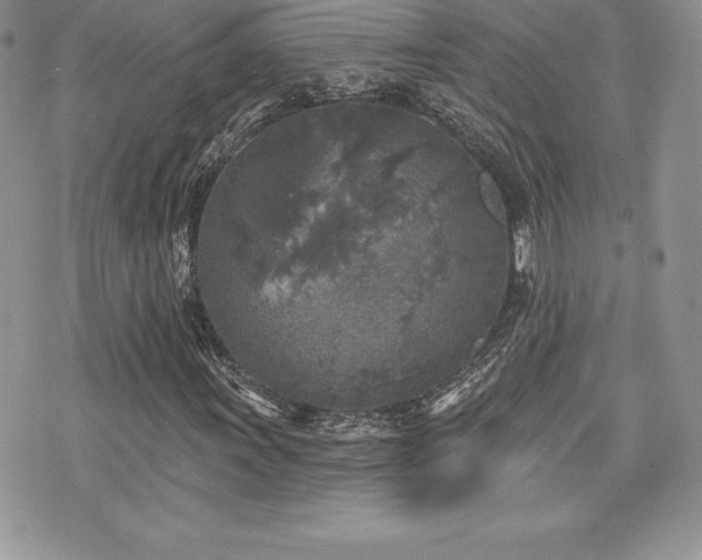 X0000071961011200607071447