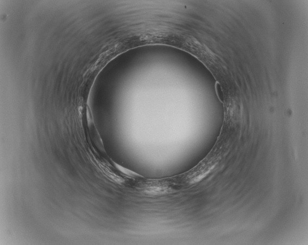 X0000071961012200607071447