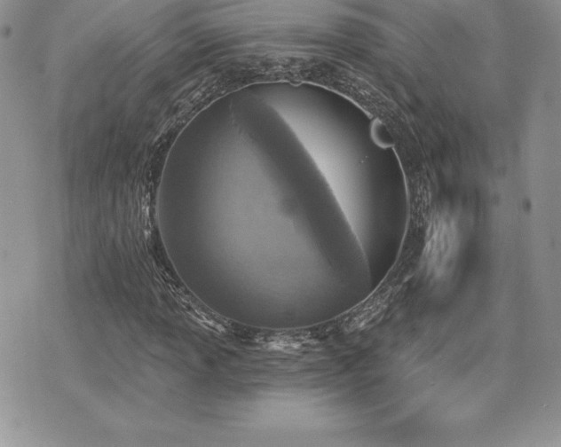 X0000071961013200607071447