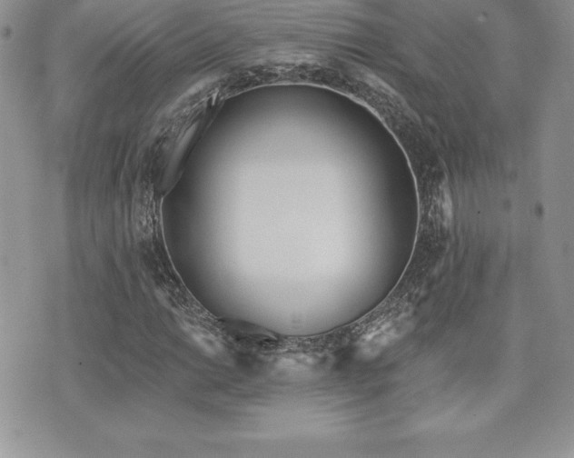 X0000071961014200607071447