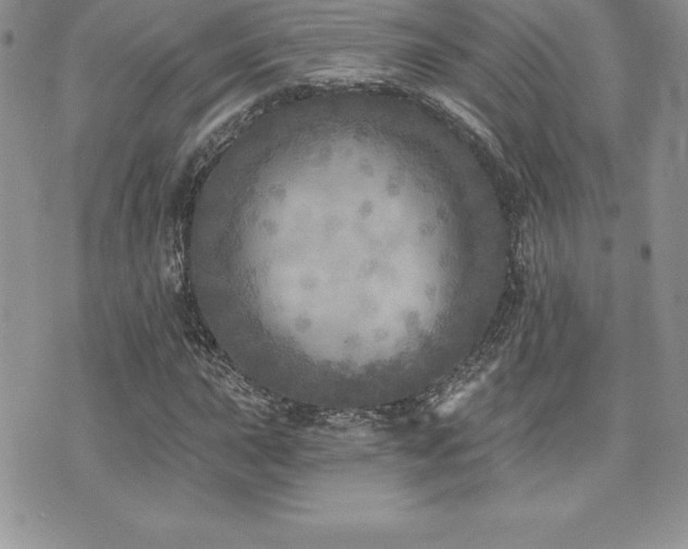 X0000071961015200607071447