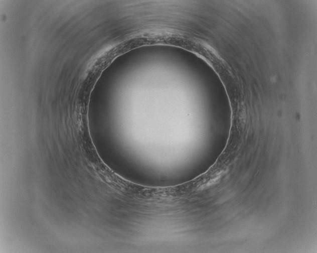 X0000071961016200607071447