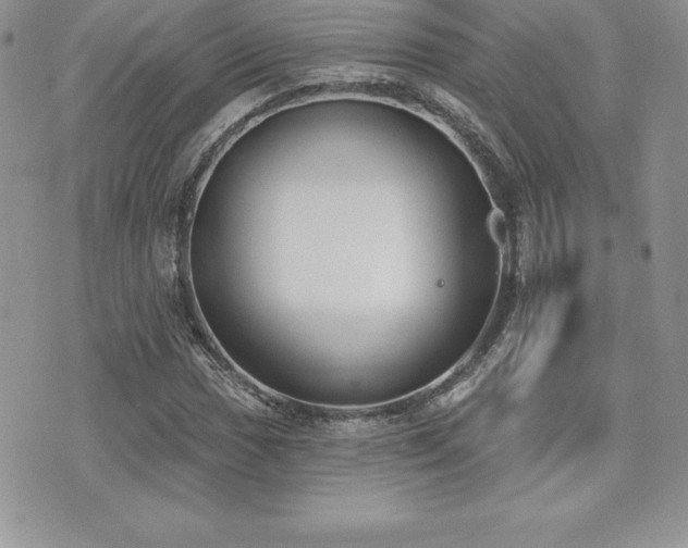 X0000071961017200607071447