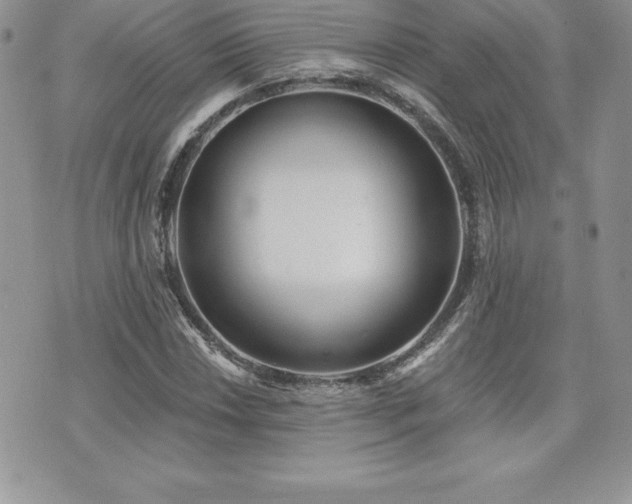 X0000071961018200607071447