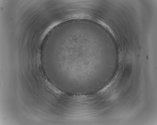 X0000071961019200607071447