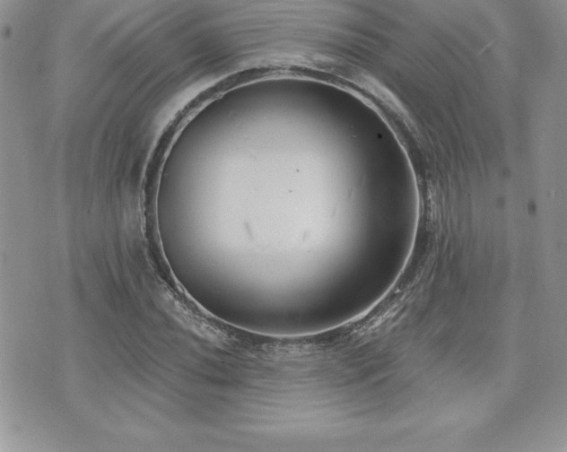 X0000071961020200607071447