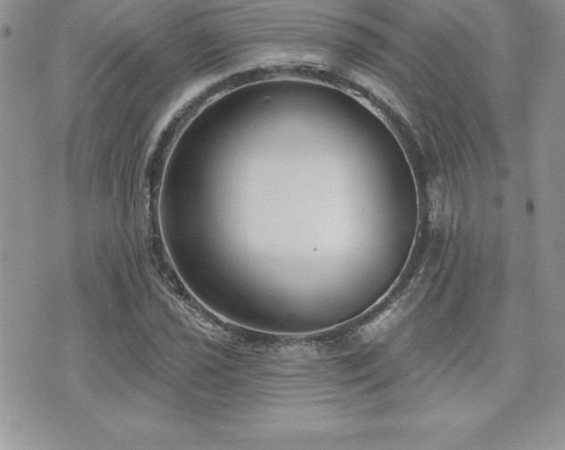 X0000071961021200607071447