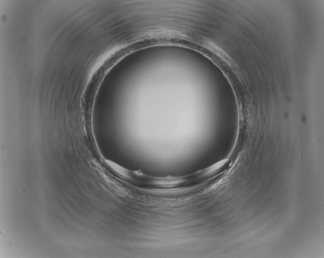 X0000071961022200607071447