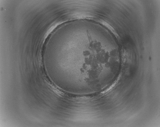 X0000071961023200607071447