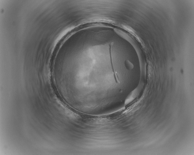 X0000071961024200607071447