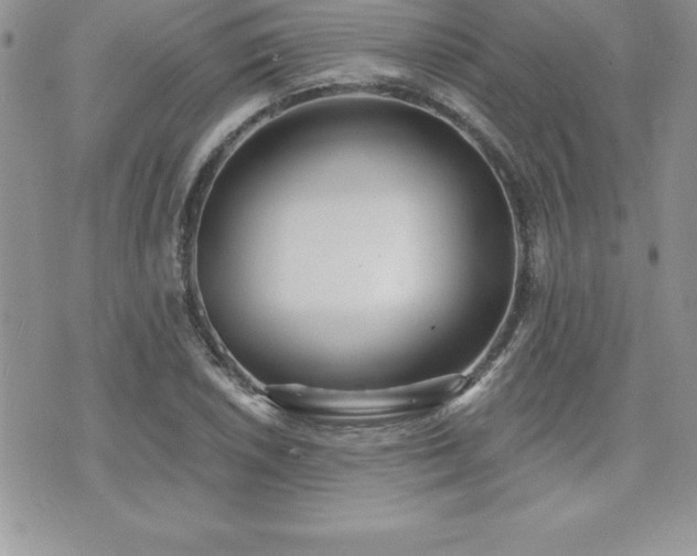 X0000071961026200607071447