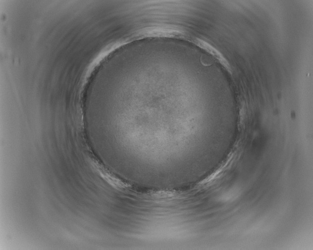 X0000071961027200607071447